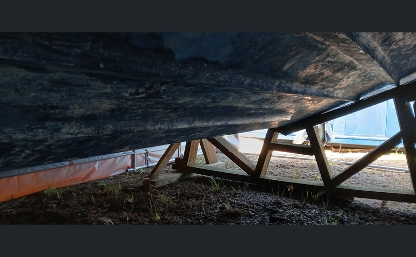 Bayliner 2550 Cierra Sunbridge-kuva-10